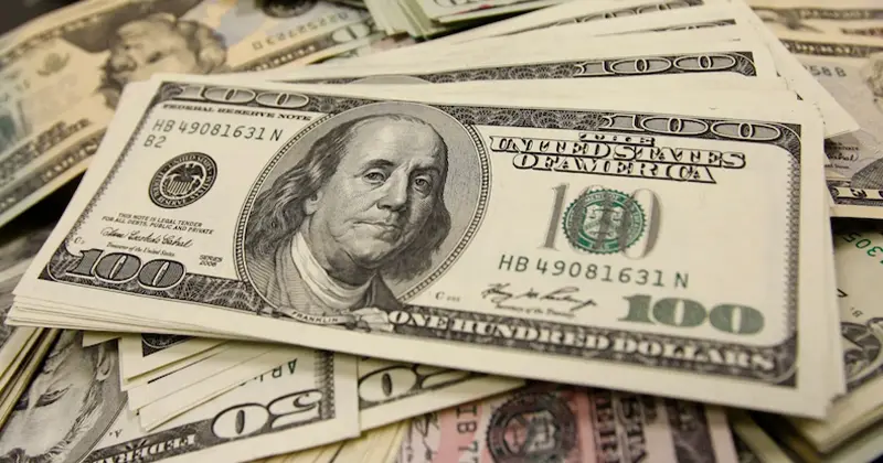 Are Food Trailers Profitable?